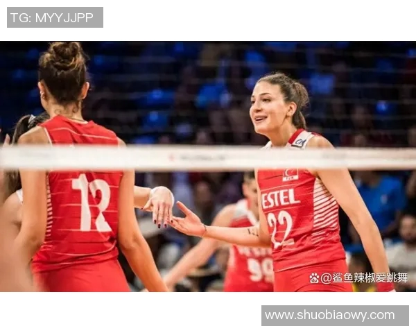 中国与波兰篮球对决深度分析与战术解析